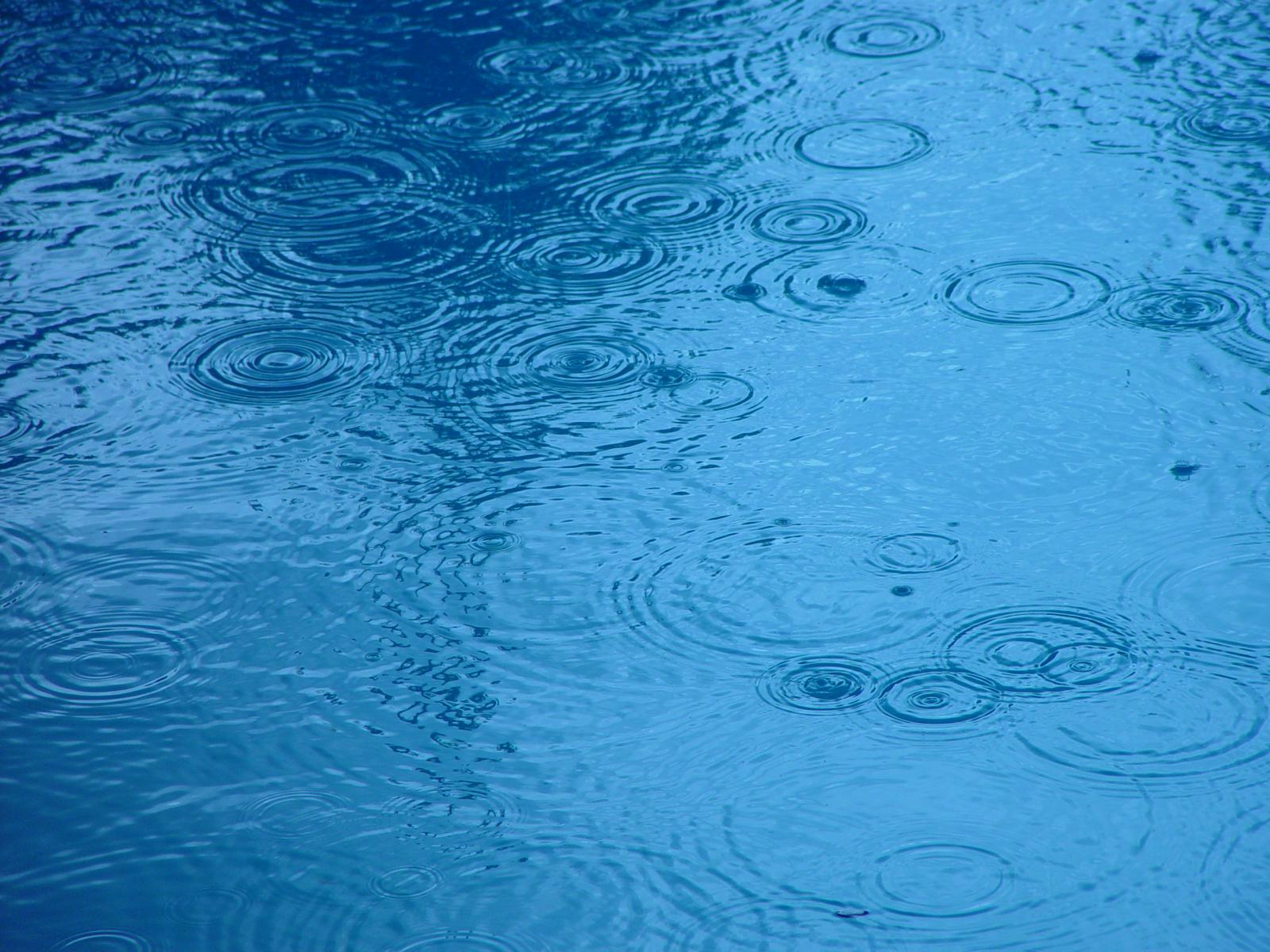 Raindrop ripples on a pond
